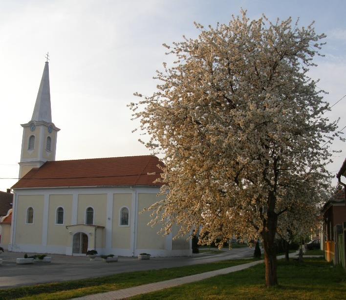 Helyi védelem