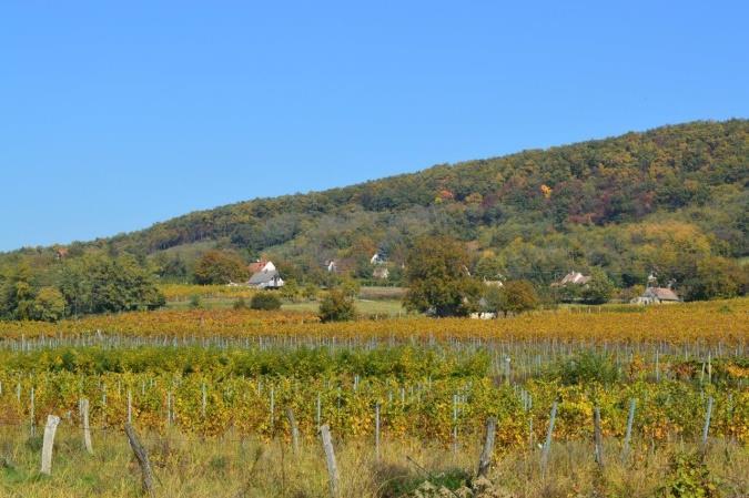 Monostorapáti közigazgatási területének egy része a Balaton-felvidéki Nemzeti Park országos jelentőségű védett természeti területére esik.