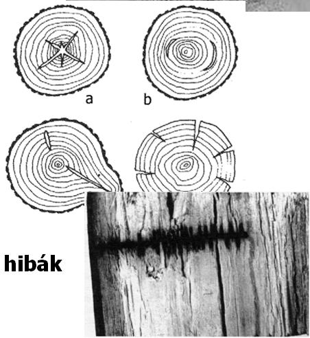 Egyéb hibák - mechanikai sérülések - madarak, vadak és rovarok okozta hibák -elszenesedés A fa fizikai és mechanikai tulajdonságai A fatest fizikai szempontból egy háromfázisú rendszer, amely: -