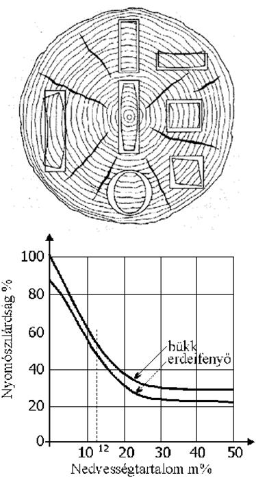 A fa fizikai és mechanikai tulajdonságai 3.