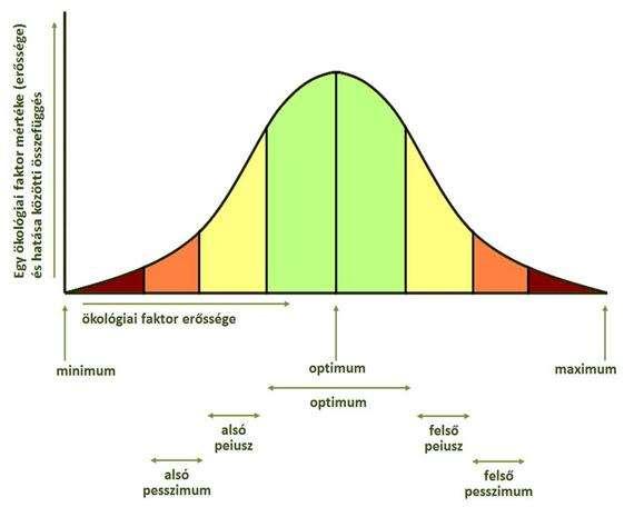 Az egyes ökológiai faktorok mértéke (erőssége) és hatása közötti összefüggést a toleranciagörbe segítségével értelmezhetjük, ahol a vízszintes tengelyen az ökológiai tényező változását, a függőleges