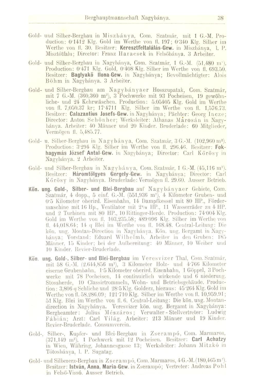 Be rg h au p 1111 an nscl i a ft Nagy bánya. 38 Gold- und Silber-Bergbau iu Miszbáuva, (lom. Szatmár, mit 1 G.-M, Production : 0-1412 Klg. Gold im Werthe von fl. 197; 0340 Klg.
