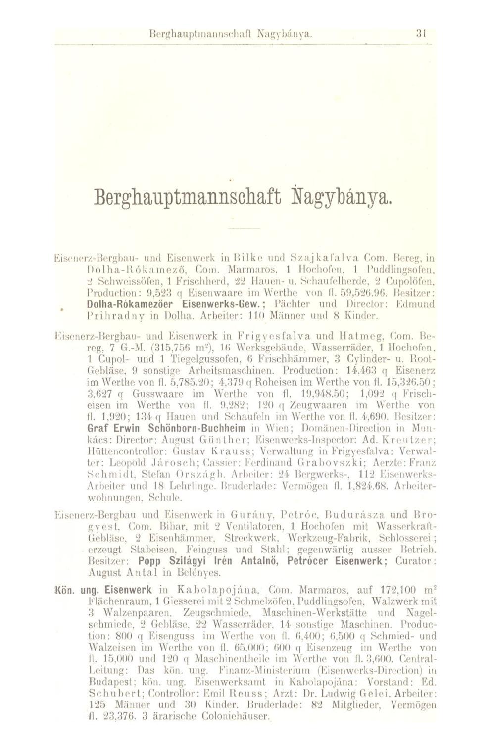 Berghauptmannsehafl Nagybánya, 31 Berghauptmannschaft Nagybánya. Eisenerz-Bergbau- und Eisenwerk in Bilke und S/.a.j kaiul va Com. Bereg, in Dolha-Ró kamező, Com.