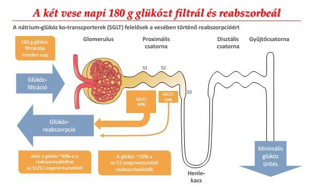 rális antidiabetikumok