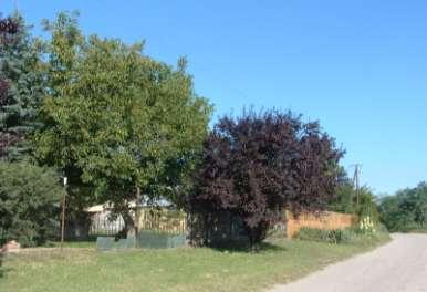 4 Eltérő
