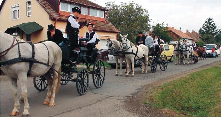 A szõlõlányok Pásztor Andrea, Balázs Dorka, Vincze Georgina és Szoldatics Karolina voltak, õket kísérték még a kocsin Golyán Gréta, Vincze Viktória, Vincze Máté.