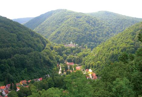 --- ----- - miskolc 27 amelyet egy országszerte egyedülálló miliő vesz körül. A DVTK lényegében a miskolci, sőt a borsodi mindennapi kultúra és identitás fontos tényezőjévé vált.