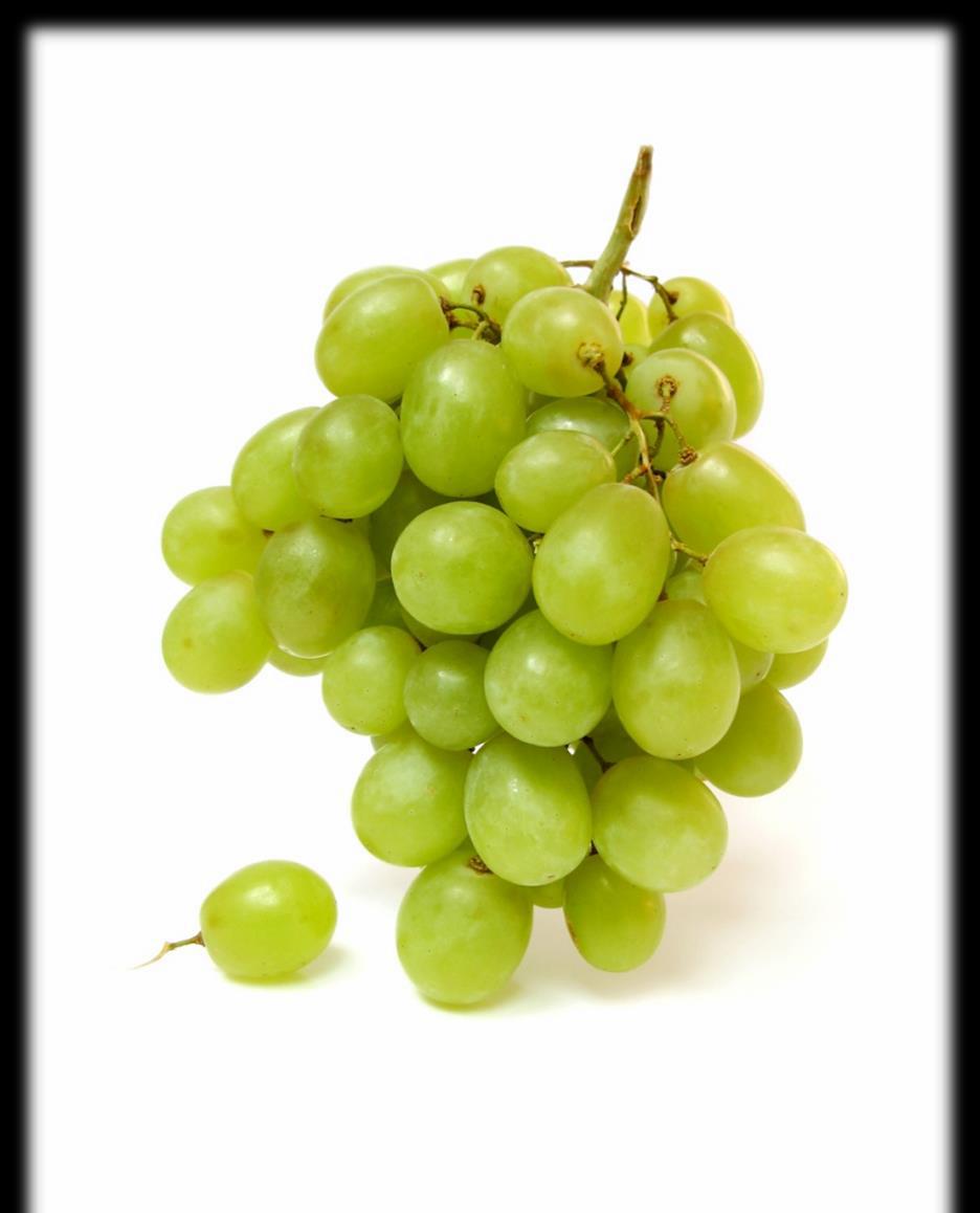 Tartalomjegyzék A Grape-ről röviden... 3 Miért a Grape?... 4 Minőség... 4 Rugalmasság... 5 Folytonosság... 5 Támogatás... 5 Tapasztalat... 5 Innovációs díjak... 6 A pályázat bemutatása.