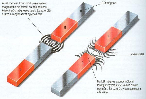 Kísérlet Szükséges