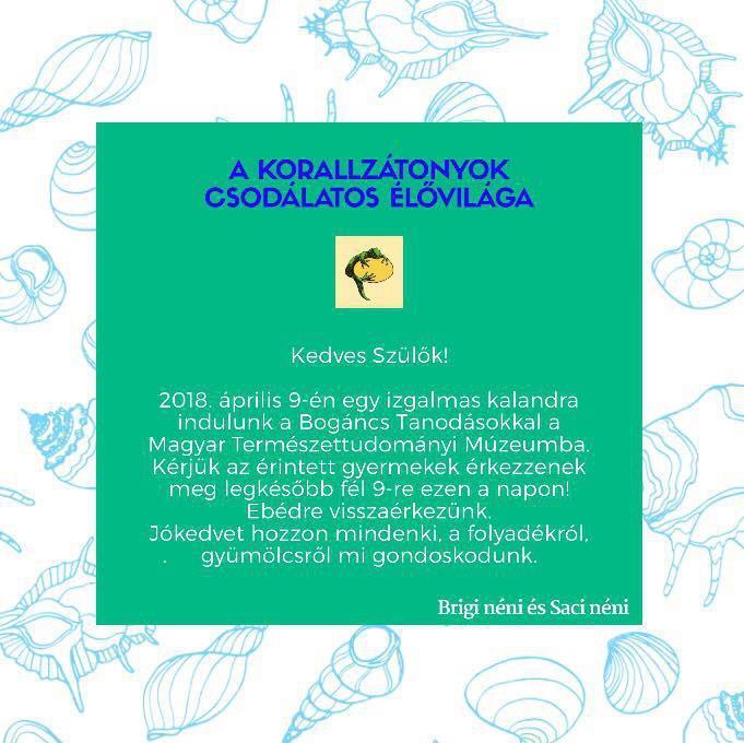 A Bogáncs Tanoda a természettudományok iránt érdeklődő gyermekek és tehetségígéretek számára nyújtott fejlesztő jellegű 60 perces foglalkozásokat heti rendszerességgel.