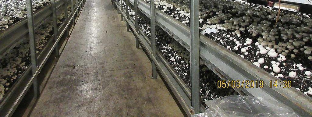 A csarnokok levegőjének hőmérsékletét, páratartalmát, CO2 tartalmát és egyéb tényezőket számítógépes vezérlésű rendszer biztosítja.