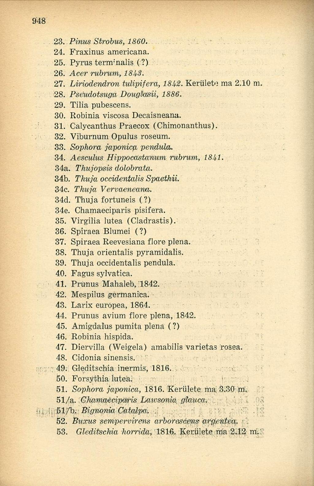 23. Pinus Strobus, 1860. 24. Fraxinus americana. 25. Pyrus terminális (?) 26. Acer rubrum, 1843. 27. Liriodendron tulipifera, 1842. Kerület'} ma 2.10 m. 28. Pséudotsuga Dougl'aísii, 1886. 29.