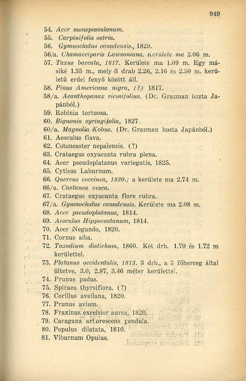 54. Acer monspessulanum. 55. Carpinifolia ostria. 56. Gymnockidus canadensis., 1829. 56/a. Chamaeciparis Lawsoniana. Kerülete ma 2.06 m. 57. Taxus baccata, 1817. Kerülete ma 1.09 m. Egy másiké 1.35 m.