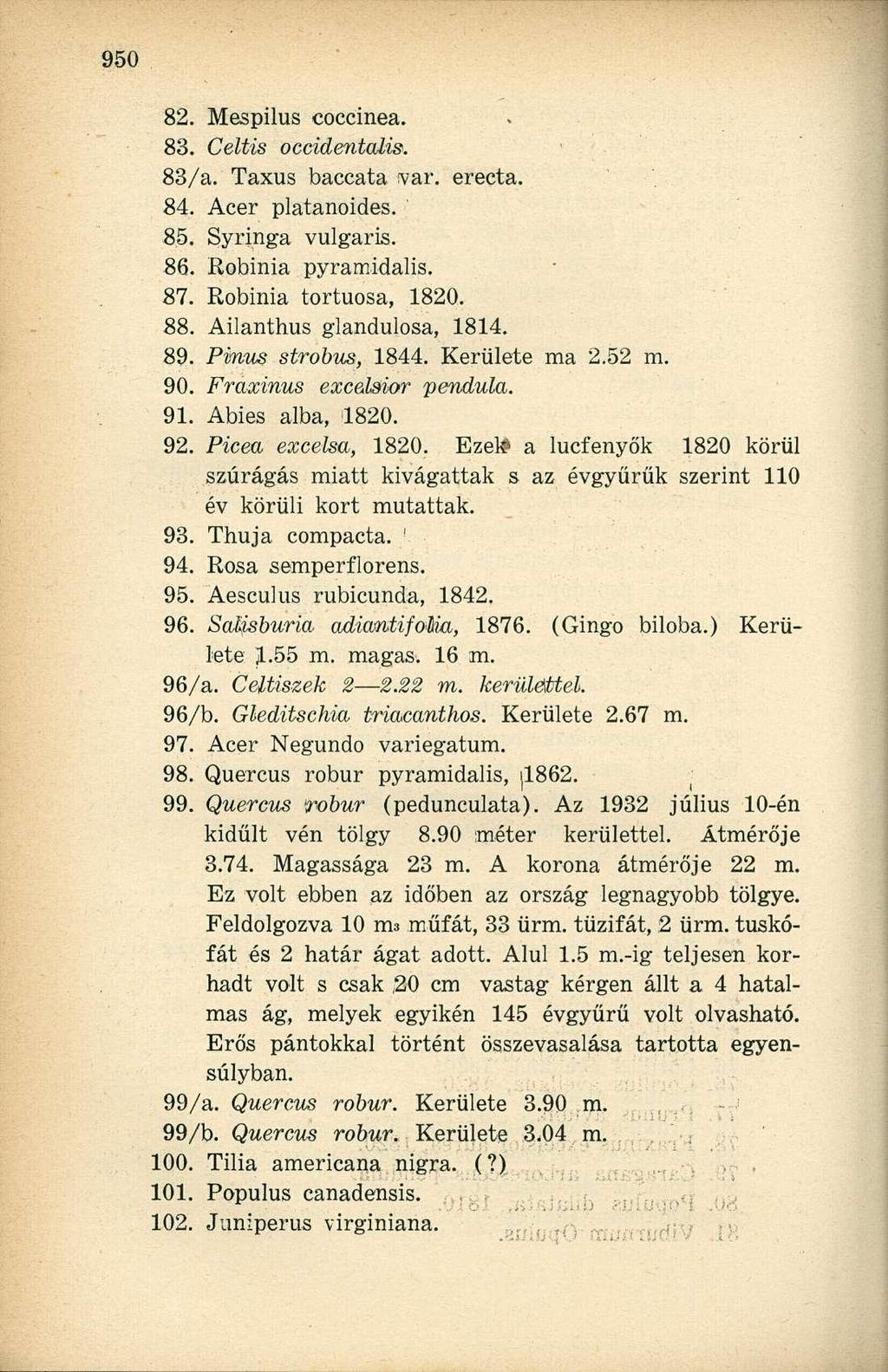 82. Mespilus coccinea. 83. Celtis occidentalis. 83/a. Taxus baccata var. erecta. 84. Acer platanoides. 85. Syringa vulgáris. 86. Robinia pyramidalis. 87. Robinia tortuosa, 1820. 88.