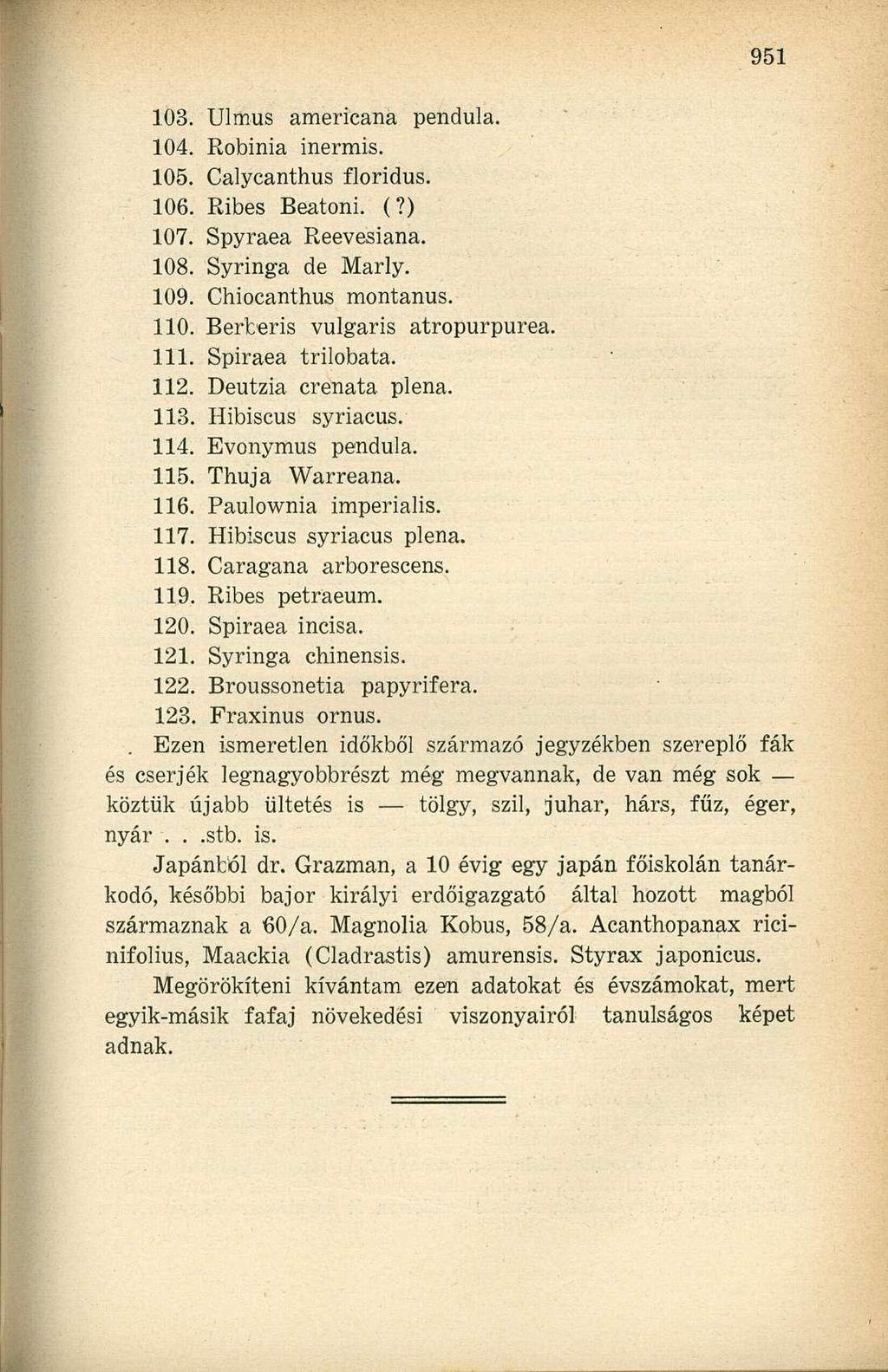103. Ulmus americana pendula. 104. Robinia inermis. 105. Calycanthus floridus. 106. Ribes Beatoni. (?) 107. Spyraea Reevesiana. 108. Syringa de Marly. 109. Chiocanthus montanus. 110.