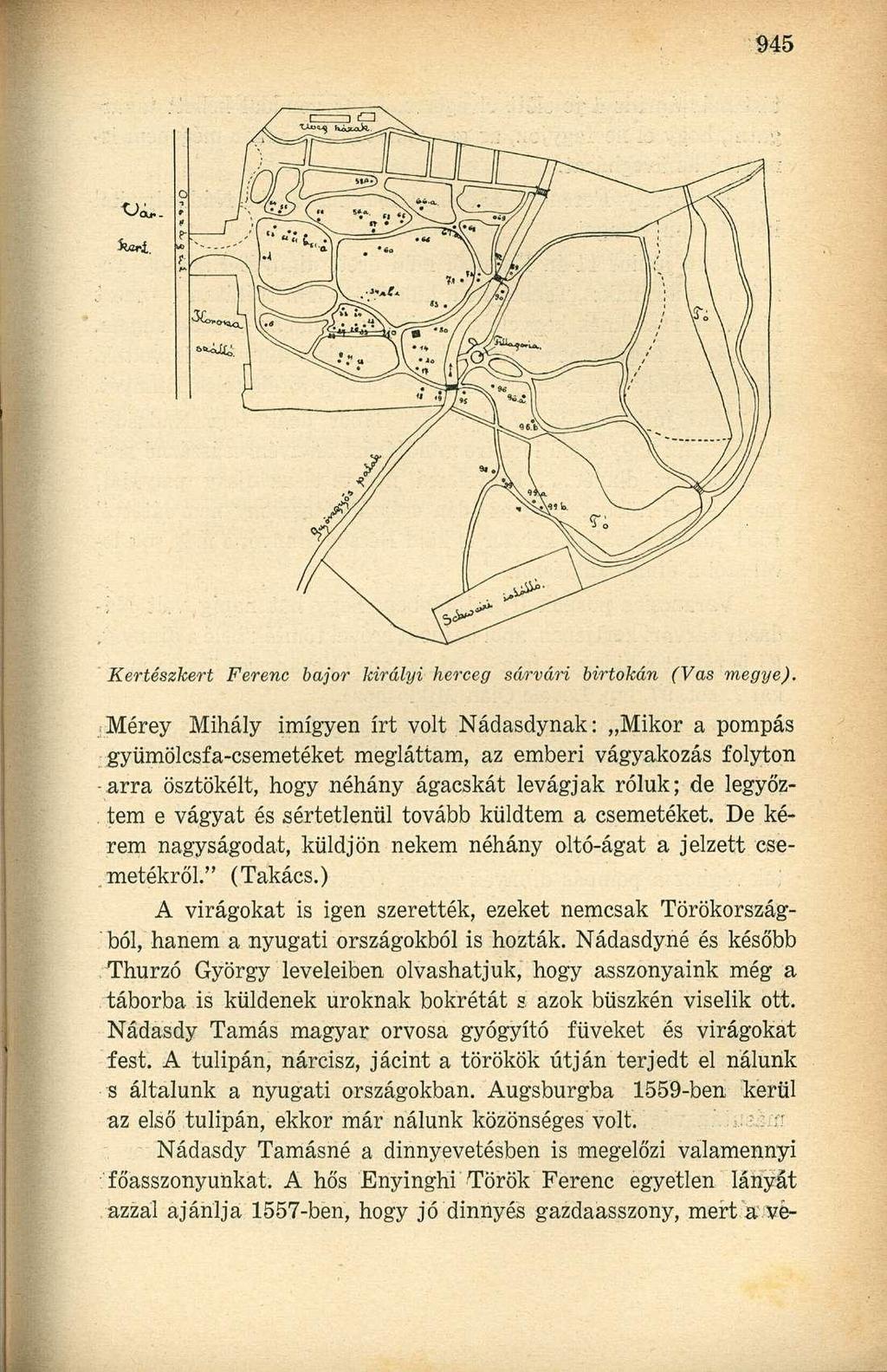 Kertészkert Ferenc bajor királyi herceg sárvári birtokán (Vas megye).