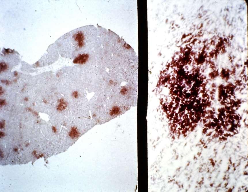 et al.