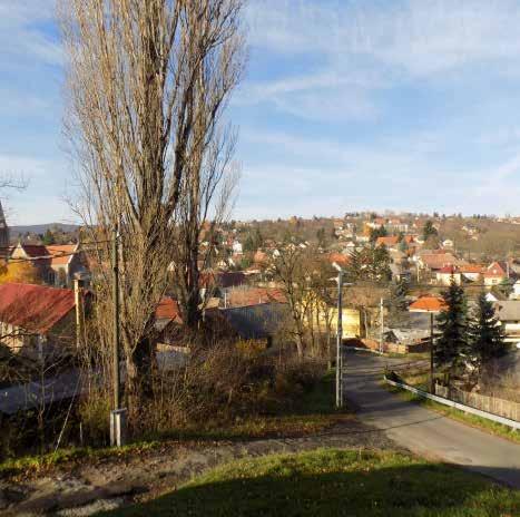 kanyargó utcák miatt szórvány jelleget mutat.