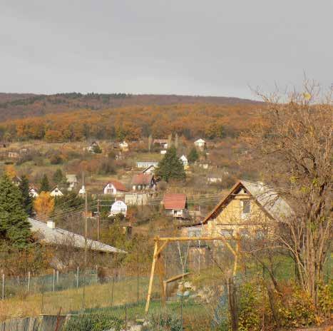 136. oldal TELEPÜLÉSKÉPI ARCULATI