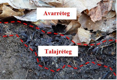 Erdőtűzveszély értékelése vezeték nélküli rendszer segítségével A FireLess2 egy vezeték nélküli hálózat, amely valós idejű adatokat rögzít az erdőben található éghető holt biomassza (avarréteg és
