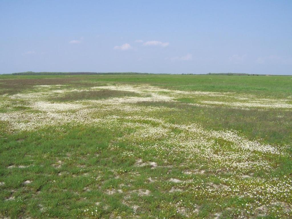 Natura 2000 fenntartási