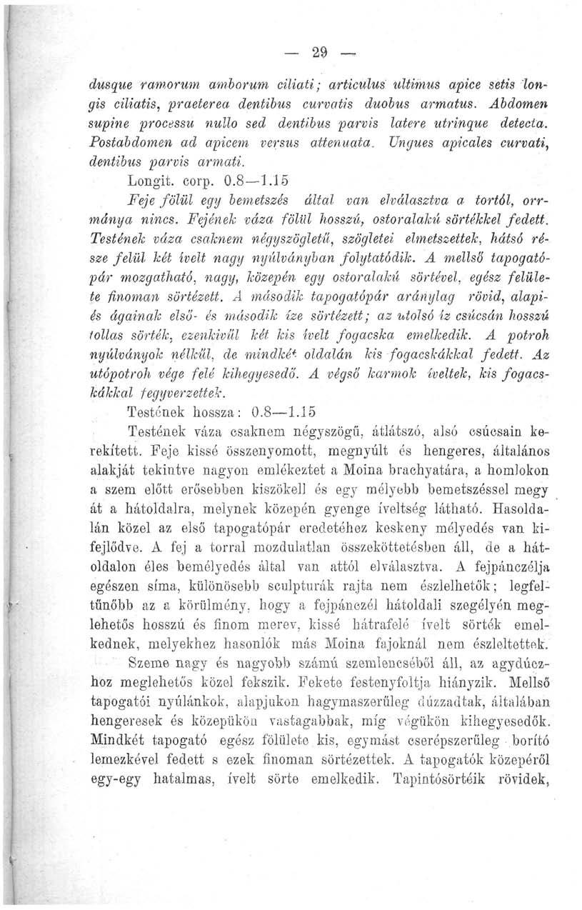 29 dusque ramorum amborum ciliati; articulus ultimus apice setis longis ciliatis, praeterea dentibus curvatis duobus armatus. Abdomen supine processu nullo sed dentibus parvis latere utrinque detecla.