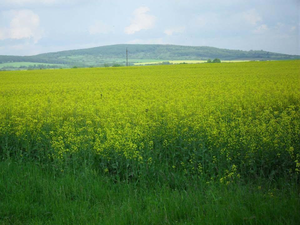 Gazdaság Mezőgazdaság