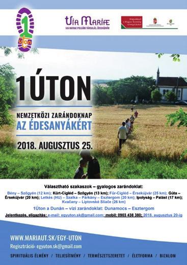 A vízvezeték-szerelő munkatöltete: vízvezeték- és fűtési rendszerek felújítása, karbantartói munkák (fűtés-, meleg- és hidegvíz, gáz