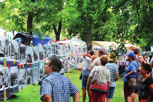 pásmo: Ľudová strana Naše Slovensko, Kabelschelpp Tím, Za Nové Zámky, Baditeam, MOST-HÍD, Csemadok ASZ, Csemadok - Néptáncosok, Fanklub HC Nové Zámky, Hexagon; bronzové pásmo: Smer-SD, SNS Nové