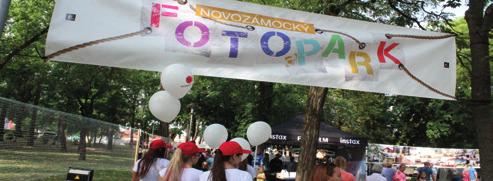 Ako na rokovaní uviedol vedúci majetkoprávneho odboru MsÚ Gabriel Závodský, dôvodom bolo neplnenie podmienok zmluvy o prenájme dovtedajším vedením Futbalového klubu mesta (FKM) Nové Zámky.