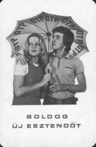 Vállalat, 1973