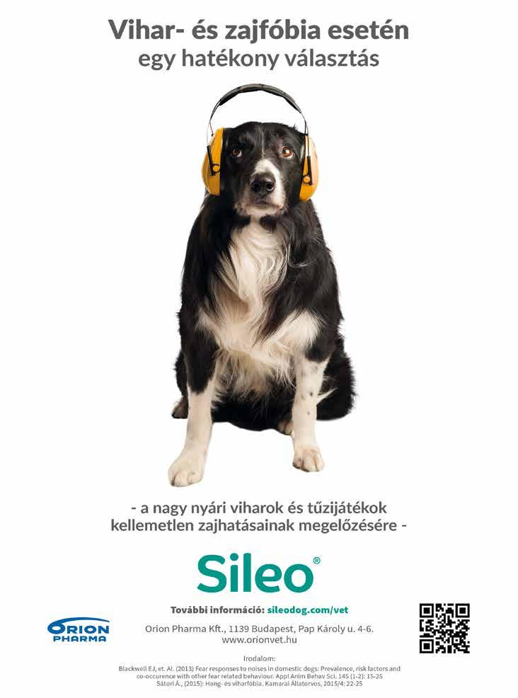 26 Vet Hírek