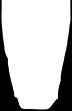 hyorrhinis törzsekre, 0,12 µg/ml alatti MIC90 értékek mellett.