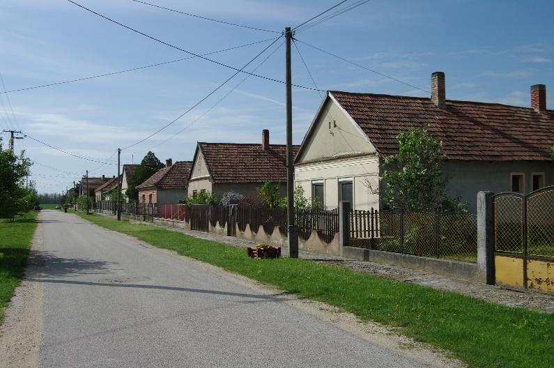 mint a környezetükben lévőké.