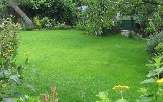 29. fajtája, illetve a