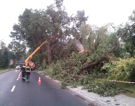 Ezen túlmenően jelentős gazdasági hátrányt okoznak, a