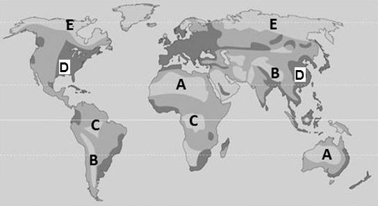 9. Az alábbi térképvázlat a Föld népességének egyenlőtlen területi eloszlását mutatja. Tanulmányozza a térképet, majd oldja meg a feladatokat! Forrás: https://www.mozaweb.