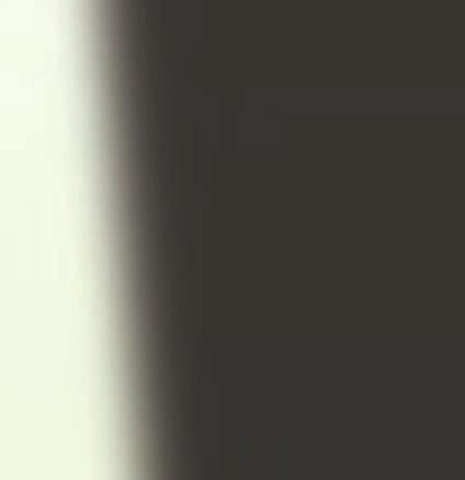 MELLITUSBAN Formátum: B5 (165 236 mm)