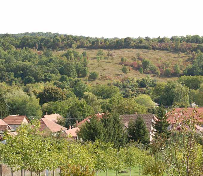 1. BEVEZETÔ Kozárd község igen kimagasló belső értékekkel és erőforrásokkal rendelkezik. A község építészeti karaktere változatos, ugyanakkor mégis harmonikus egységet alkot.