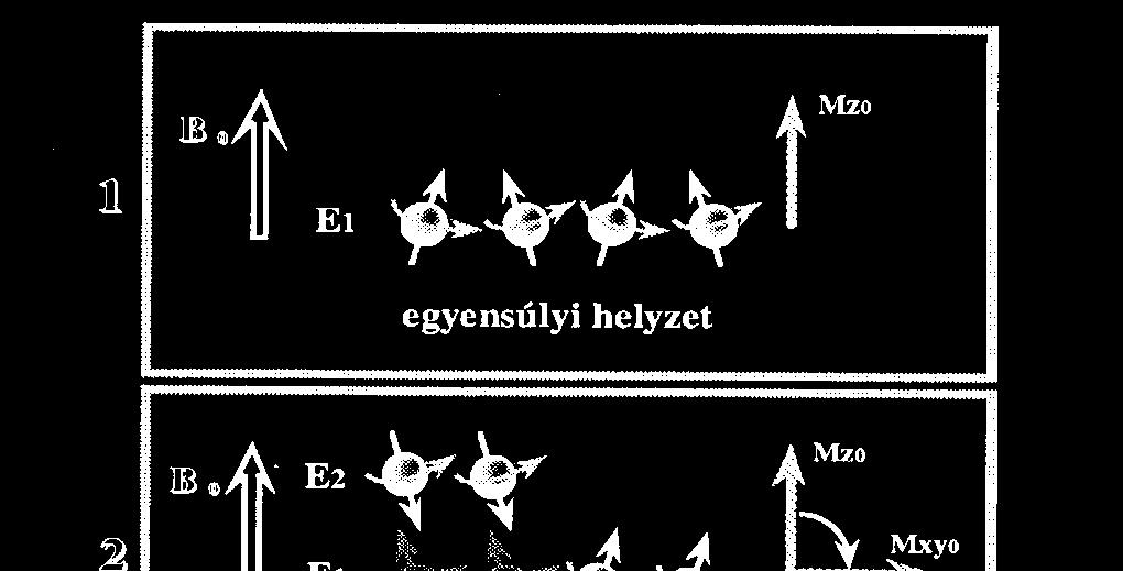 mérhető jelek jelentik Mz változik: max Mxy változik: körbeforogva csökken - orientációváltás