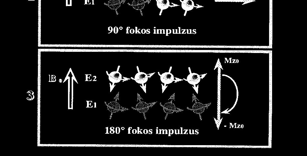 indukál Mz relaxációs ideje: spin-rács relaxációs idő -T1 Környező molekulák A momentum B