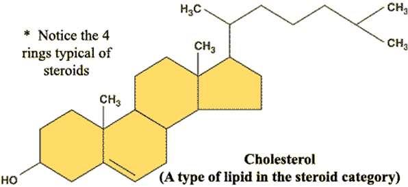 D-vitamin (kalciferol D2, D3) A szervezetünk optimális kalcium-anyagcseréjéhez szükséges zsírban oldódó vitamin.