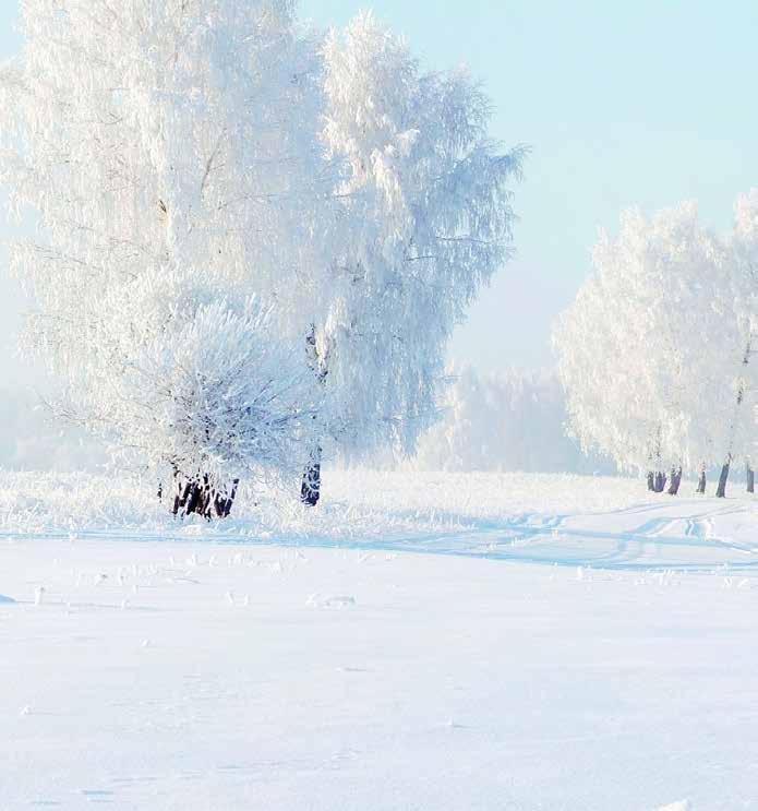 Érvényes: 2017. december 11-től 2018. január 15-ig. 17/12 20.