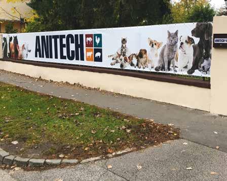 (kedd) Antibakteriális szerek klinikai farmakológiája sertéseknél A képzés