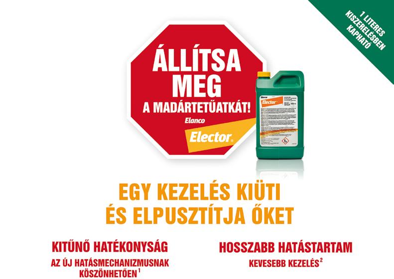 árakon 21