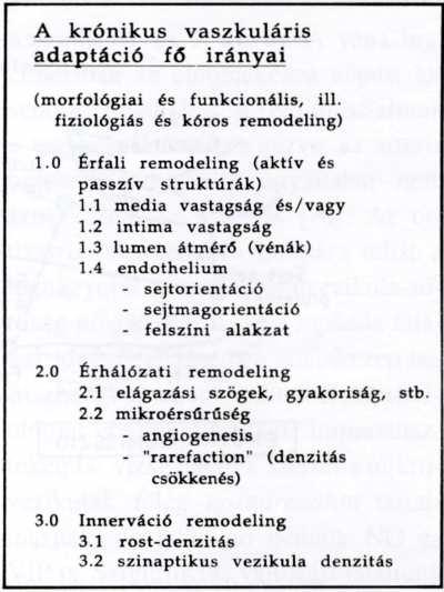 2. ábra. A vaszkuláris remodeling fı lehetıségei. A 3.