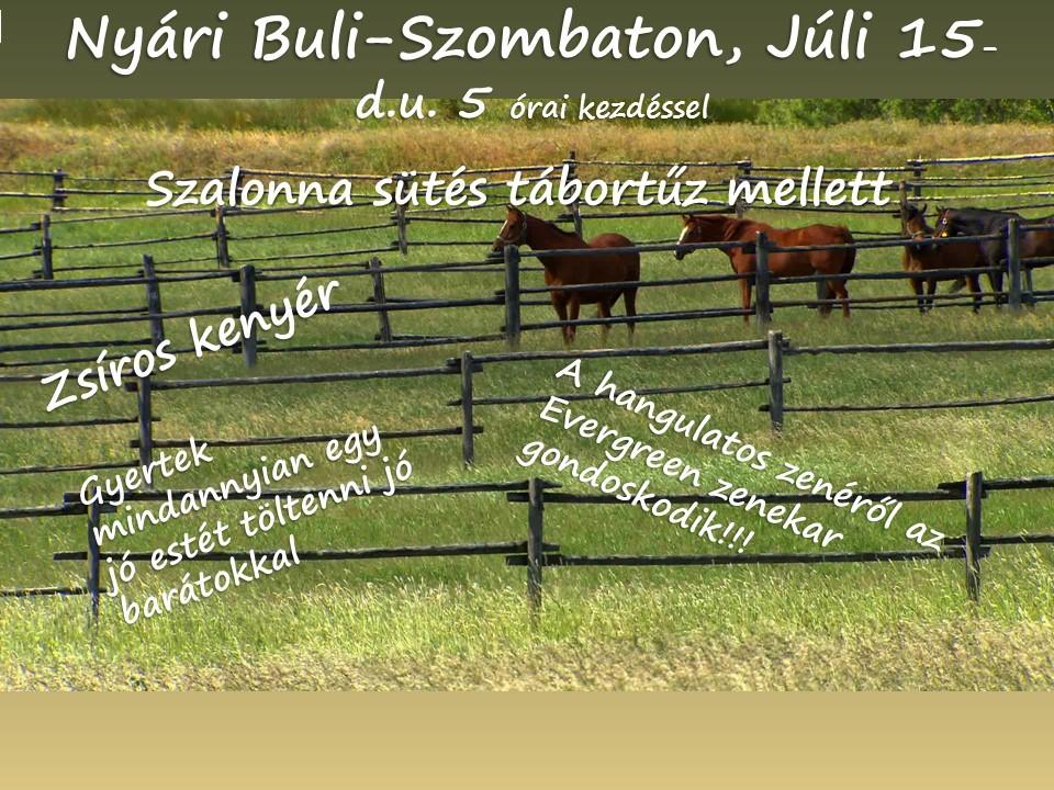 Nyári buli a Kossuth Házban Július 15-én, szombaton 5 órától Zenélnek: Égető Szabolcs és Veljko