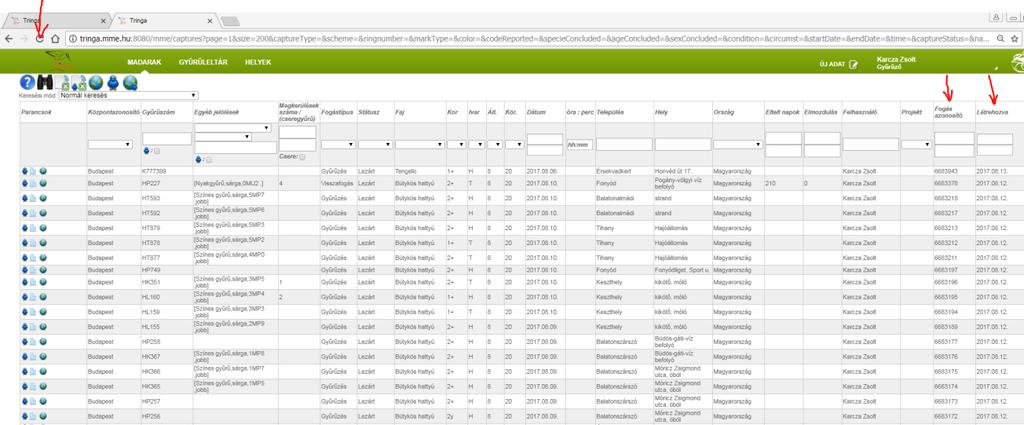 A maximális adatrekordnál nagyobb exportokat a Központ kérésre elkészíti. 10