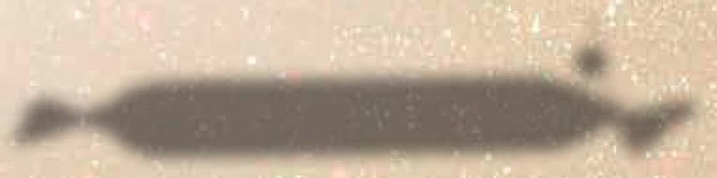 g/db 5 db esetén 235, 43 299,- 5 db: