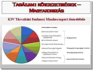 A kormányhatározat 8.